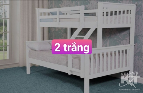Giường tầng trắng